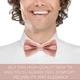 Бабочка Bow Tie House большая атласная Powder Peach 10348L - изображение 5
