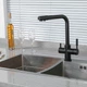 Смеситель для кухни Frap F4352-6 на две воды, черный - изображение 2