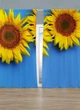 Дизайнерська фотоштора Соняшники - зображення 5