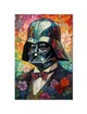 Постер плакат FNBK Дарт Вейдер в цветах (Star Wars, Звездные войны) 50x70 см - изображение 1