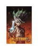 Постер плакат FNBK Доктор Стоун 1 (Dr. Stone) 30x40 см - изображение 1