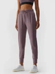 Спортивные штаны женские 4F Trousers Fnk F352 4FAW23TFTRF352-82S XS Коричневые (5904698521654) - изображение 1