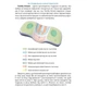 Ортопедична подушка Correct Shape Family Dream XL (зріст 170 - 185 см) Білий - зображення 9