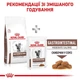 Лікувальний корм для кішок Royal Canin Gastrointestinal Moderate Calorie, 2 кг - изображение 7