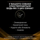 Сухой корм для собак с заболеванием почек Purina Pro Plan NF Renal Function 1.5 кг - изображение 6
