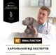 Сухой корм для собак с заболеванием почек Purina Pro Plan NF Renal Function 1.5 кг - изображение 7