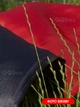 Флаг ОУН УПА, прапор атлас 90 х 140 красно-черный, с карманом для фглагштока - изображение 3