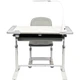 Парта зі стільцем FunDesk Littonia Grey (222529) - зображення 10