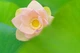 Sigma 90mm f/2.8 DG DN Contemporary (Sony E) - зображення 5