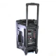 Портативная колонка Su-Kam BT 120D/212D+ 2 микрофона 300 Вт 7500 mAh black - изображение 2