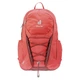 Рюкзак Deuter Gogo 25 currant-redwood (3813221 5588) - изображение 6