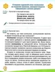 4 клас Українська мова та читання Зошит із розвитку усного та писемного мовлення Захарійчук - зображення 2