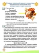 4 клас Українська мова та читання Зошит із розвитку усного та писемного мовлення Захарійчук - зображення 3