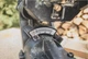 Пила торцовочная YATO YT-82173 - изображение 6
