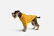 Дождевик с капюшоном для собак Noblepet Moss Yellow, одежда для собак унисекс, L-Short (M4106/L-Short) - изображение 3