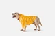 Дождевик с капюшоном для собак Noblepet Moss Yellow, одежда для собак унисекс, L-Short (M4106/L-Short) - изображение 6