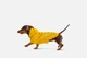 Дождевик с капюшоном для собак Noblepet Moss Yellow, одежда для собак унисекс, L-Short (M4106/L-Short) - изображение 5