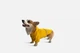 Дождевик с капюшоном для собак Noblepet Moss Yellow, одежда для собак унисекс, L-Short (M4106/L-Short) - изображение 4