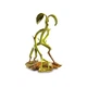 Игровая фигурка Noble Collection Fantastic beasts Bowtruckle Magical Creatures No 2 (NN5250) (10-581173) - изображение 1