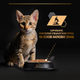 Упаковка вологого корму для кошенят Purina Pro Plan Kitten Healthy Start шматочки в соусі з індичкою 26 шт по 85 г (7613287107503) - зображення 10