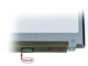 Матриця N156HHE-GA1 15.6" Slim eDP (1920*1080, 120HZ, 30pin праворуч, вушка зверху-знизу), матова. (67161) - зображення 2