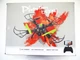Квадрокоптер Phantom LH-X43WF c WiFi камерой (4_00184) - изображение 5