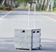 Складаний переносний візок для продуктів Xiaomi MAIWEI Trolley Case Gray Large 35 л (Ф28187) - зображення 7