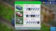 Ключ активации Station Manager для Xbox One/Series S/X - изображение 4