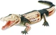 Объемная анатомическая модель 4D Master Крокодил (FM-622034) (4894793220341) - изображение 1