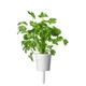 Сменный картридж Click and Grow Кориандр 8417 (3 капсулы) - изображение 3
