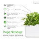 Сменный картридж Click and Grow Кориандр 8417 (3 капсулы) - изображение 4