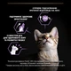 Сухий корм для кошенят Pro Plan Kitten Healthy Start 400 г - курка - изображение 6