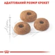 Сухий корм для котів Royal Canin Fit 32 400 г - изображение 4