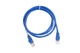 2E Cat 5e, UTP, RJ45, 26AWG ,7/0.16 CCA, 1.20 m, PVC, Blue - изображение 2