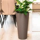 Горшок FormPlastic Rattana Slim - 30 бежевый (3830-051) - изображение 5