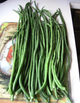 Насіння Вігна Шарлотта, 10 шт (GL Seeds) - зображення 2