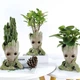 Грут Groot горшок для цветов и канцелярии G1 - изображение 10