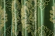Комплект готових штор VR-Textil Блекаут-софт Корона № 1279ш(А) Зелений з оливковим 150х275 см 2шт (33-0116) - зображення 7