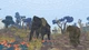 Игра Shelter 3 для ПК (Ключ активации Steam) - изображение 5