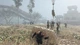 Игра Metal Gear Survive для ПК (Ключ активации Steam) - изображение 2