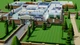 Игра Two Point Hospital для Nintendo Switch - Europe (Ключ активации) - изображение 5