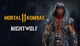 Дополнение Mortal Kombat 11 - Nightwolf для ПК (Ключ активации Steam) - изображение 1