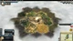 Дополнение Civilization V: Gods and Kings для ПК (Ключ активации Steam) - изображение 5