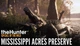 Доповнення TheHunter: Call of the Wild - Mississippi Acres Preserve - Europe для ПК (Ключ активації Steam) - зображення 1