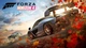 Доповнення Forza Horizon 4 VIP (PC / Xbox ONE / Xbox Series X|S) (Ключ активації) - зображення 2
