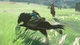 Игра The Legend of Zelda: Breath of the Wild для Nintendo Switch - Europe (Ключ активации) - изображение 2