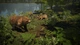 Игра Natural Instincts для ПК (Ключ активации Steam) - изображение 5