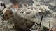 Дополнение Company of Heroes 2 - Ardennes Assault: Fox Company Rangers для ПК (Ключ активации Steam) - изображение 4