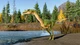 Игра Jurassic World Evolution 2 для Xbox One/Series - Europe (Ключ активации) - изображение 2
