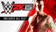 Игра WWE 2K15 для ПК (Ключ активации Steam) - изображение 1
